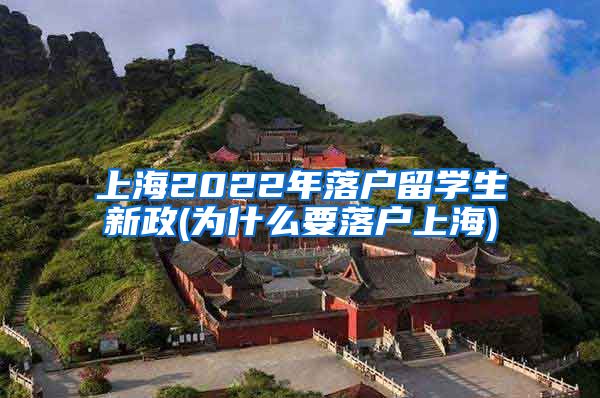 上海2022年落户留学生新政(为什么要落户上海)