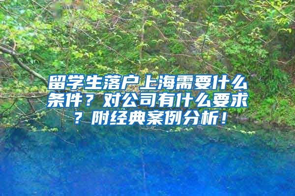 留学生落户上海需要什么条件？对公司有什么要求？附经典案例分析！