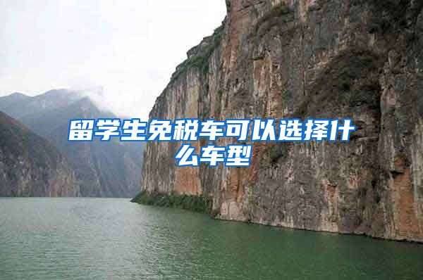 留学生免税车可以选择什么车型