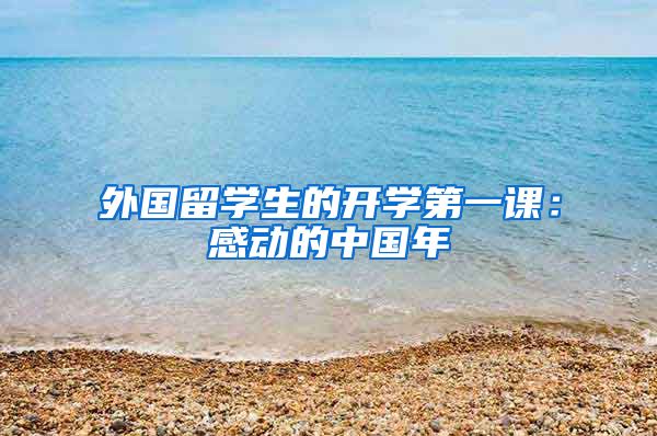 外国留学生的开学第一课：感动的中国年