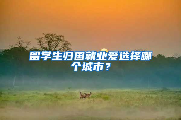 留学生归国就业爱选择哪个城市？