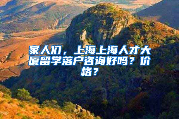 家人们，上海上海人才大厦留学落户咨询好吗？价格？