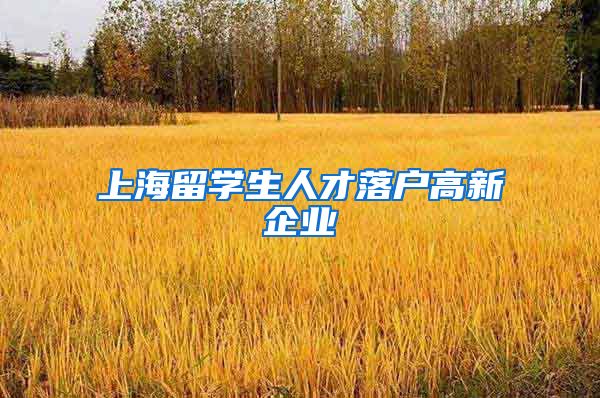 上海留学生人才落户高新企业