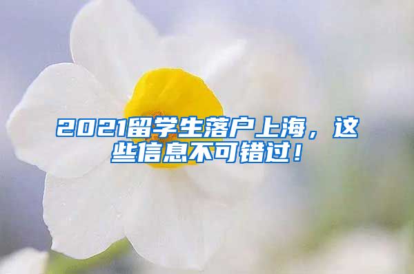 2021留学生落户上海，这些信息不可错过！