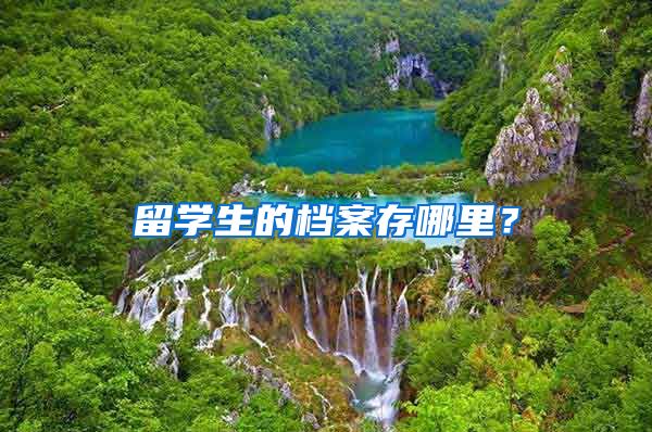 留学生的档案存哪里？