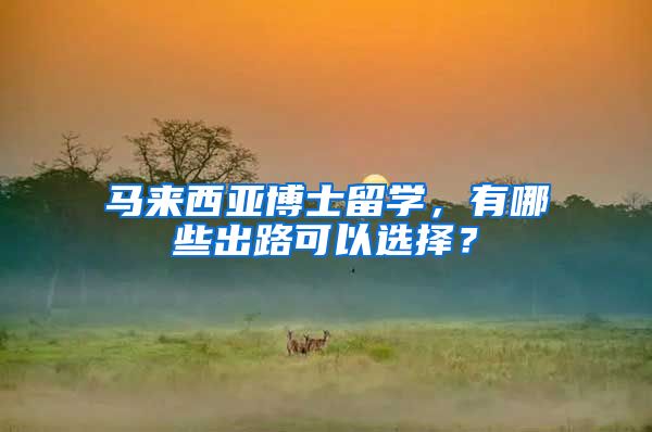 马来西亚博士留学，有哪些出路可以选择？