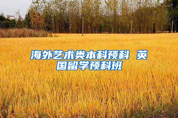 海外艺术类本科预科 英国留学预科班