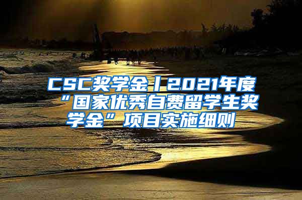 CSC奖学金丨2021年度“国家优秀自费留学生奖学金”项目实施细则