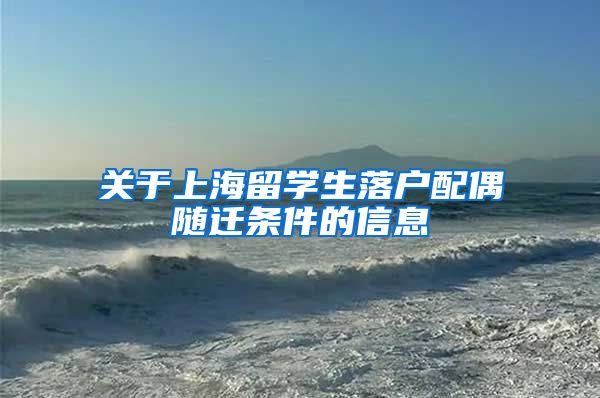 关于上海留学生落户配偶随迁条件的信息