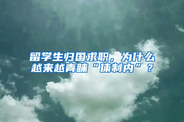 留学生归国求职，为什么越来越青睐“体制内”？