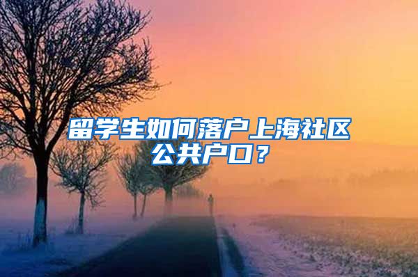留学生如何落户上海社区公共户口？