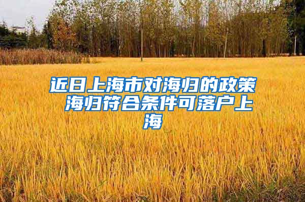近日上海市对海归的政策 海归符合条件可落户上海