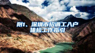 附1、深圳市招调工入户体检工作指引