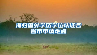 海归国外学历学位认证各省市申请地点