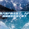 世界名校留学人员落户上海特殊支持政策系统操作指南