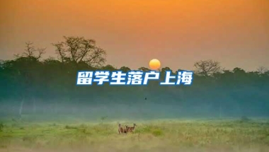 深圳公租房&安居房申请攻略速点！你关心的问题都在这！