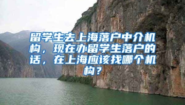 留学生去上海落户中介机构，现在办留学生落户的话，在上海应该找哪个机构？