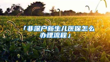 「非深户新生儿医保怎么办理流程」