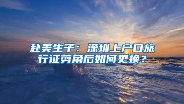 赴美生子：深圳上户口旅行证剪角后如何更换？
