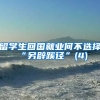 留学生回国就业何不选择“另辟蹊径”(4)