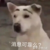 办理具有大专及以上学历人员（中级及以上职称、资格人员）入户须知