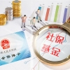 【留学芝士】回国就业必备：留学生学历认证申请保姆级教程
