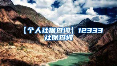 【个人社保查询】12333社保查询