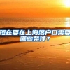 留学生零门槛落户上海TOP50名单官宣，985毕业生近2万人出国