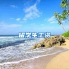 留学生工资