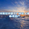 又一所九年一贯制名校落户龙岗！预计今年9月开学