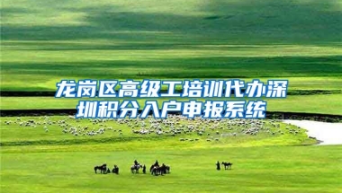龙岗区高级工培训代办深圳积分入户申报系统