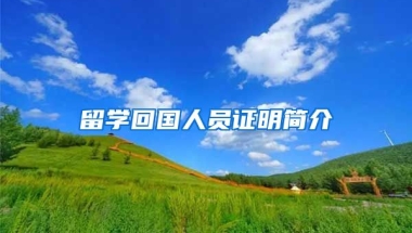 留学回国人员证明简介