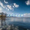 人才引进政策