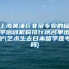 上海黄浦区非常专业的留学培训机构排行榜名单出炉(艺术生去日本留学难考吗)