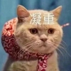 “福田英才荟”新引进人才租房和生活配套补贴拟发放名单的公示（2020年7月第一批）