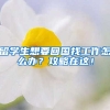 留学生想要回国找工作怎么办？攻略在这！