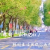 2022年上海自考学校有哪些？