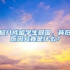 超八成留学生回国，背后原因究竟是什么？