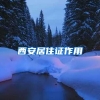 深圳这些免费福利，非深户也能享受