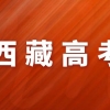 27日起，青岛社保、医保等窗口和网上服务暂停
