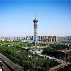 2021年上海积分落户分数