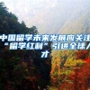 中国留学未来发展应关注“留学红利”引进全球人才