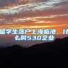 留学生落户上海临港，什么叫530企业