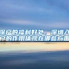 陕西高校留学生“花式”迎接中国年