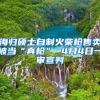 海归硕士自制火柴枪售卖被当“真枪” 4月4日一审宣判