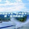 外国留学生：在中国学习是“独特的机会”