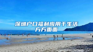 省钱的解决，深圳怎么查询集体户口户主问题的方法
