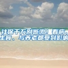 即日起！长三角区域新生儿入户可跨省（市）通办