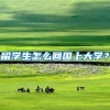 留学生怎么回国上大学？