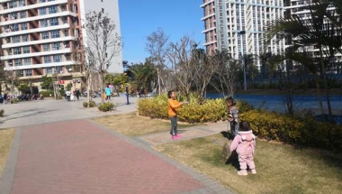 办理深圳居住证要交社保一年吗